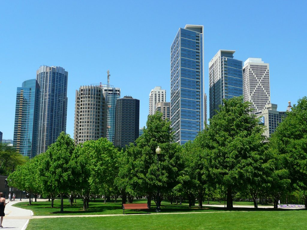 chicago skyline